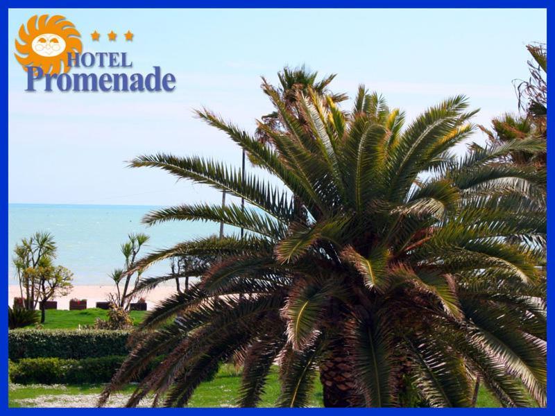Hotel Promenade Porto SantʼElpidio Extérieur photo