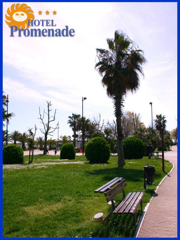 Hotel Promenade Porto SantʼElpidio Extérieur photo